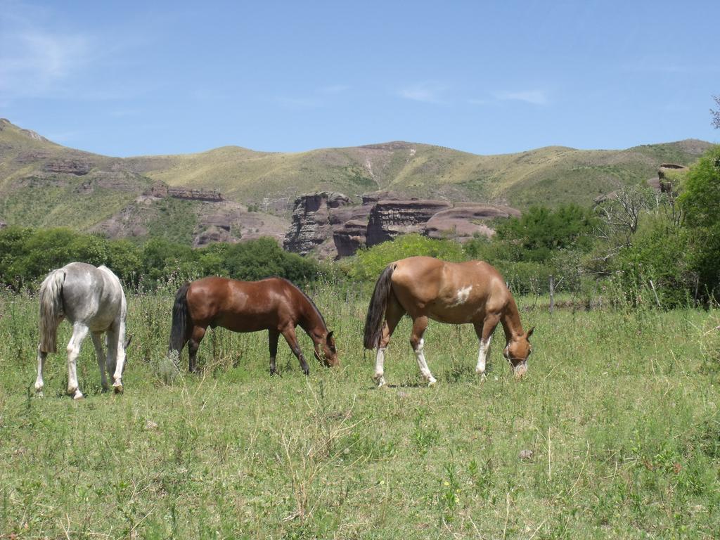 Ongamira Turismo Rural Hotell Córdoba Eksteriør bilde