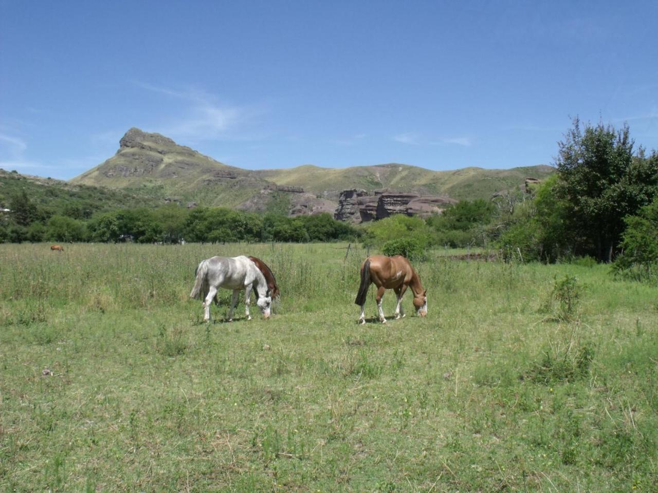 Ongamira Turismo Rural Hotell Córdoba Eksteriør bilde